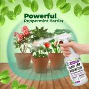Mighty Mint Peppermint Oil Plant Protection Spray Insect & Pest Control for Gnats, Spider Mites & Aphids, 31 fl oz