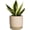 Beige, variant on Ceramic Pot for Plants Indoor Outdoor Large Planter Pot with Drainage Hole and Saucer Mid-Century Modern Flower Pot Cylinder