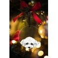 thumbnail image 5 of WIRESTER Large 3 inch Acrylic Ready to Hang Ornament, Hanging Ornaments for Christmas Tree Holidays Party Home Office Xmas Tree Decoration Gift - Animal Bichon Frise Dog, 5 of 7