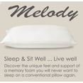 thumbnail image 1 of Melody by Abri. Memory Foam Pillow: Special Luxury Edition (Single), 1 of 1