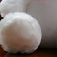 thumbnail image 4 of Colorful LED Glowing Small Bear Stuffed Doll Night Light Animals Plush Toys for Kids;Colorful LED Glowing Small Bear Stuffed Doll Night Light Animals Plush Toys, 4 of 6