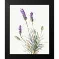 thumbnail image 2 of Nai, Danhui 20x24 Black Modern Framed Museum Art Print Titled - Floursack Lavender III on Linen, 2 of 5