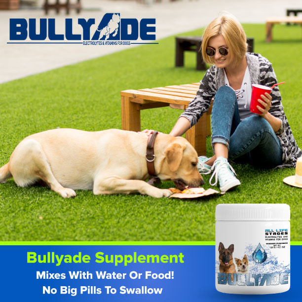 Illustration of Do Dogs Produce Electrolytes After Eating Grass
