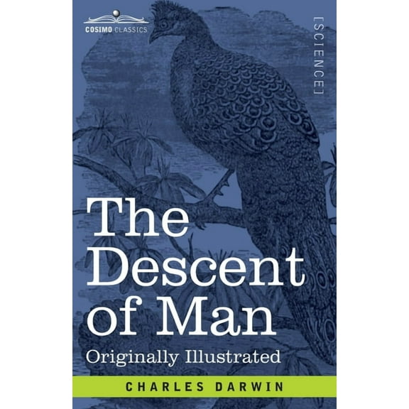 The Descent of Man : and Selection in Relation to Sex (Paperback)
