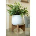 thumbnail image 3 of Flora Bunda CS4595E-MTWH 15' Tea-leaf in 7.87' Mayan Ceramic on Stand, 3 of 3