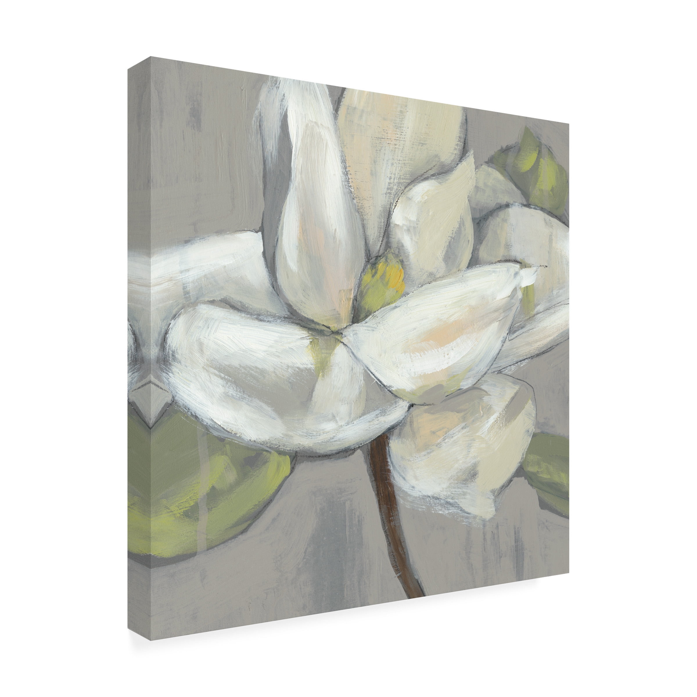 Jennifer Goldberger 'Magnolia on Grey' Canvas Art