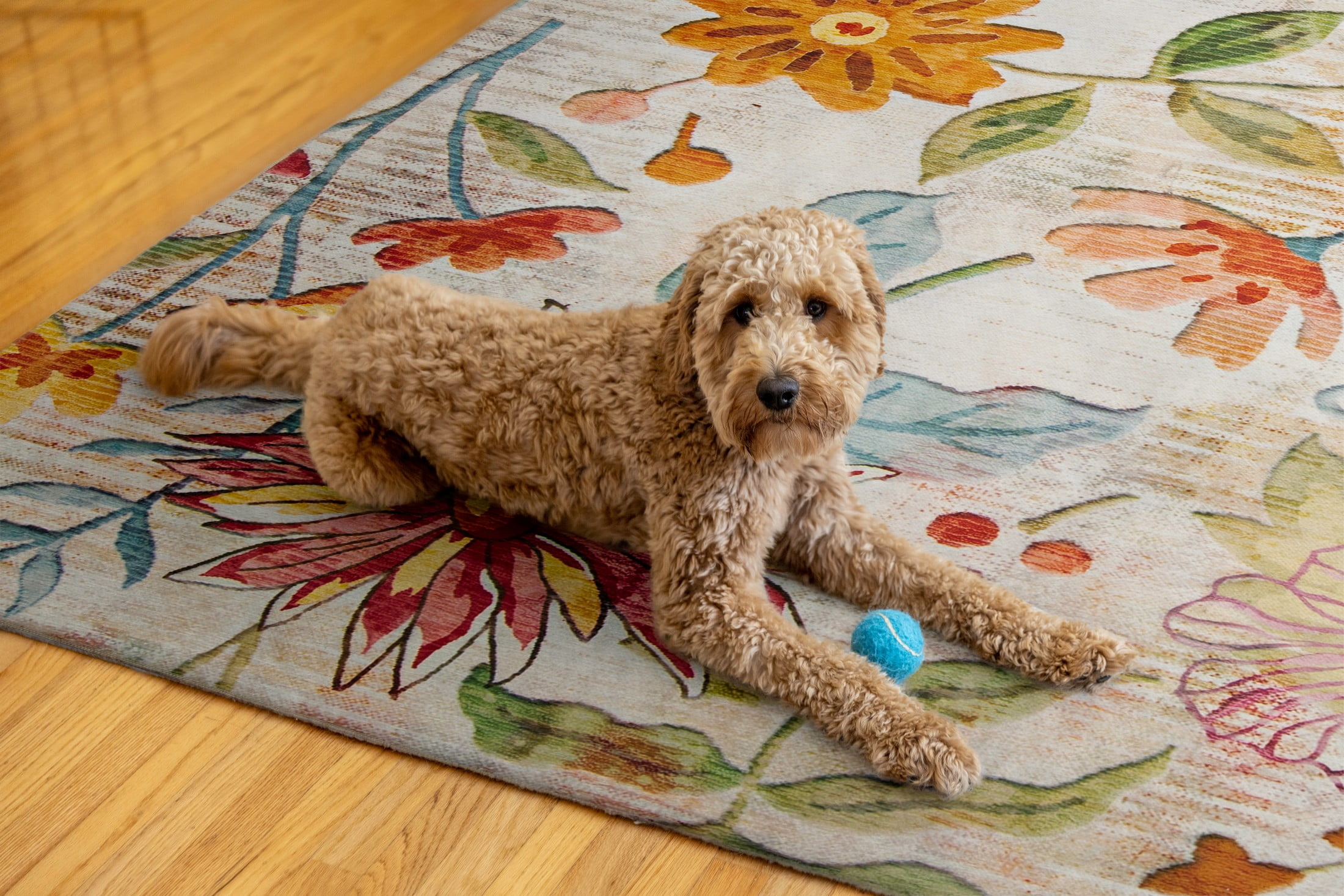 7X9 OUTDOOR WSHABL D - FRENCH