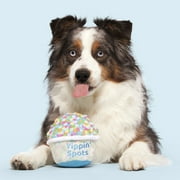 BARK Yippin' Spots Ice Cream Plush Medium Dog Toy