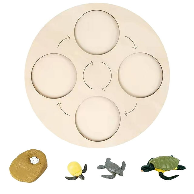 Dsscvnef Montessori Life Growth Cycle Board the Circular Deduction Teaching Aid Board Is Made Of Wood Early Educational for Farm Books for Preschoolers Climbing Board for Kids Kids Makeup Table with P