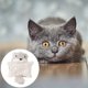 thumbnail image 4 of Juguete Para Gatos Y Perros Flying Squirrel Con Sonajero En El Interior Interactivo Y Con Sonido, 4 of 8