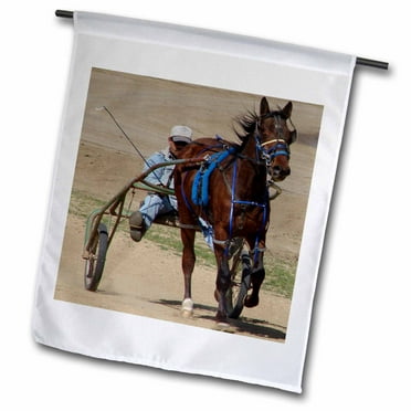 3dRose Harness Racing - Garden Flag, 12 by 18-inch
