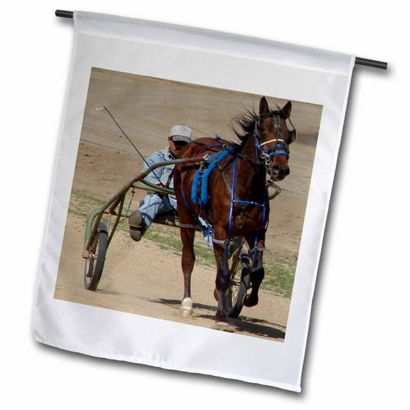 3dRose, Harness Racing, 12 x 18 inch Garden Flag