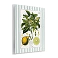 thumbnail image 3 of Stupell Industries Lemon Plant Green Stripes Wall Plaque Art design by Lettered and Lined, 14 x 11, 3 of 7