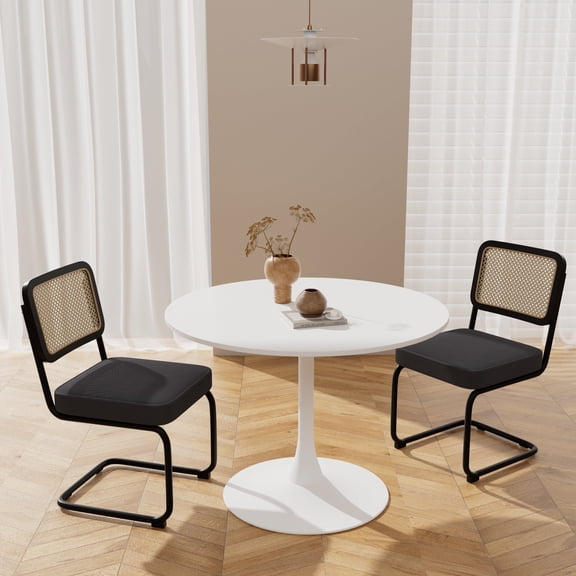Katboc Mid Century Modern Dining Chairs Set of 2, Fabric Accent Chairs, Design with Cane Back & Chrome Base, Upholstery for Dining, Living Room, Black