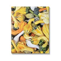 Stupell Industries Mixed Autumn Gourd Arrangement Photograph Gallery Wrapped Canvas Print Wall Art, Design by Lil' Rue
