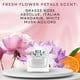 thumbnail image 4 of Perfume Dior Miss Dior Blooming Bouquet EDT, 5 ml, tamaño de viaje Dior Dior, 4 of 5