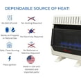 Hearth Sense Dual Fuel Vent less Blue Flame Heater with Base and Blower