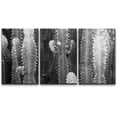 thumbnail image 3 of PixonSign Canvas Print Wall Art Set Large Cactus Spines Floral Wilderness Photography Realism Southwest Group Dramatic Grey Dark Black and White for Living Room, Bedroom, Office - 24"x36"x3, 3 of 5