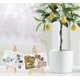thumbnail image 4 of 10 X Mini Easels, Small Wooden Chalkboard Display Holders, Easel Photo Memo Holders, Place Card Holders, Name Tags And More, 4 of 4