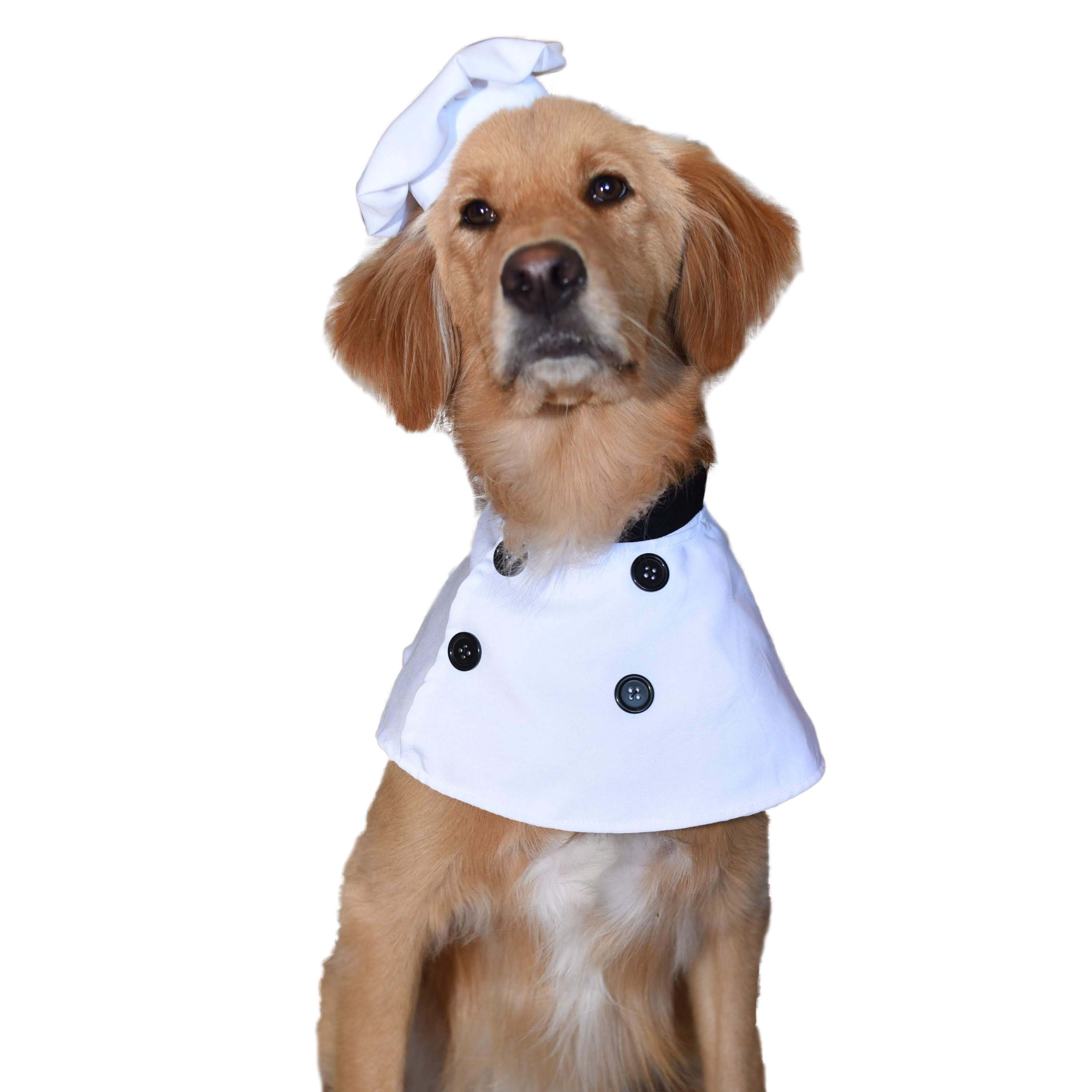 Top Chef Uniform Pet Dog Costume