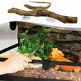 thumbnail image 5 of 2X Reptile Branches for Climbing Bearded Dragon Branch Natural Non-Slip Habitat Decorations Decor, 5 of 7