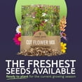 Cut Flower Garden Seeds Extra Large 1 Ounce Packet Over 7,500 Fresh
