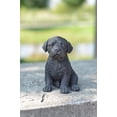 thumbnail image 2 of Estatua negra de cachorro de labrador Hi-Line Gift Ltd, poliresina, 2 of 2