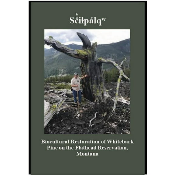 SÃ£iÃ§pÃ¡lÃ®: Biocultural Restoration of Whitebark Pine on the Flathead Reservation, Montana, (Paperback)