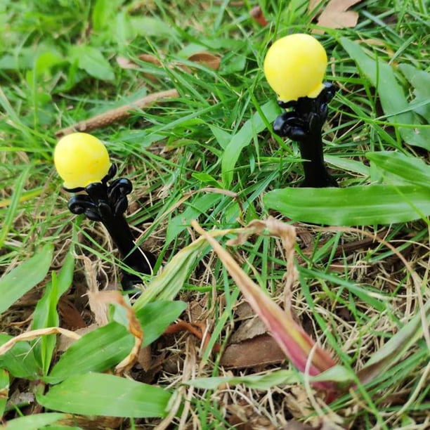 Mini Lámpara De Resina Pequeñas Paisaje Para Decoración De Terrarios De Hadas Jardín En Miniatura - 2 Piezas 12 CUTICAT Casa de muñecas de hadas en miniatura