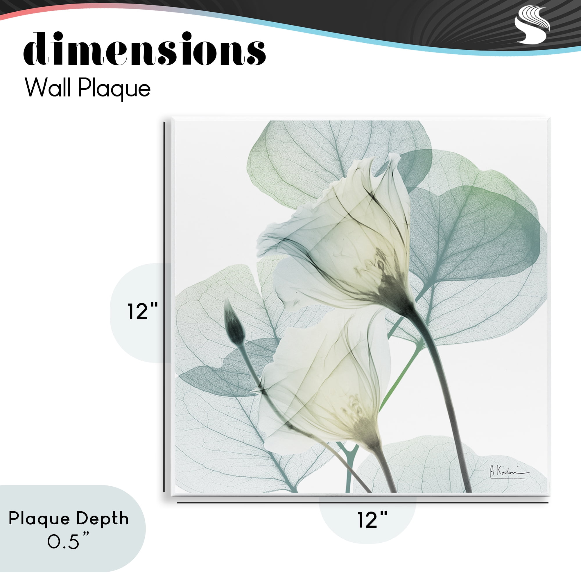 Stupell Industries Divine Fate Petals Wall Plaque Art, design by Albert Koetsier