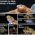 thumbnail image 3 of Lámpara térmica YUNCHY de 100 W para reptiles que toman sol a la luz del día con rayos UVA, paquete de 2, 3 of 6
