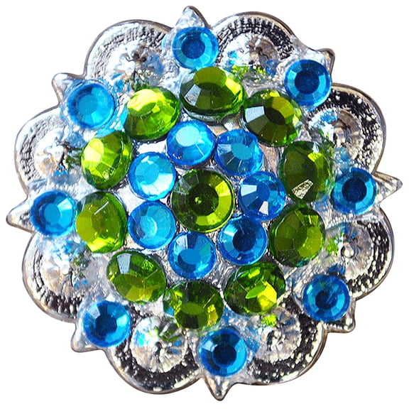2 Hilason Western Berry Conchos Glass Rhinestones Bling 1.5" Tack cowgirl