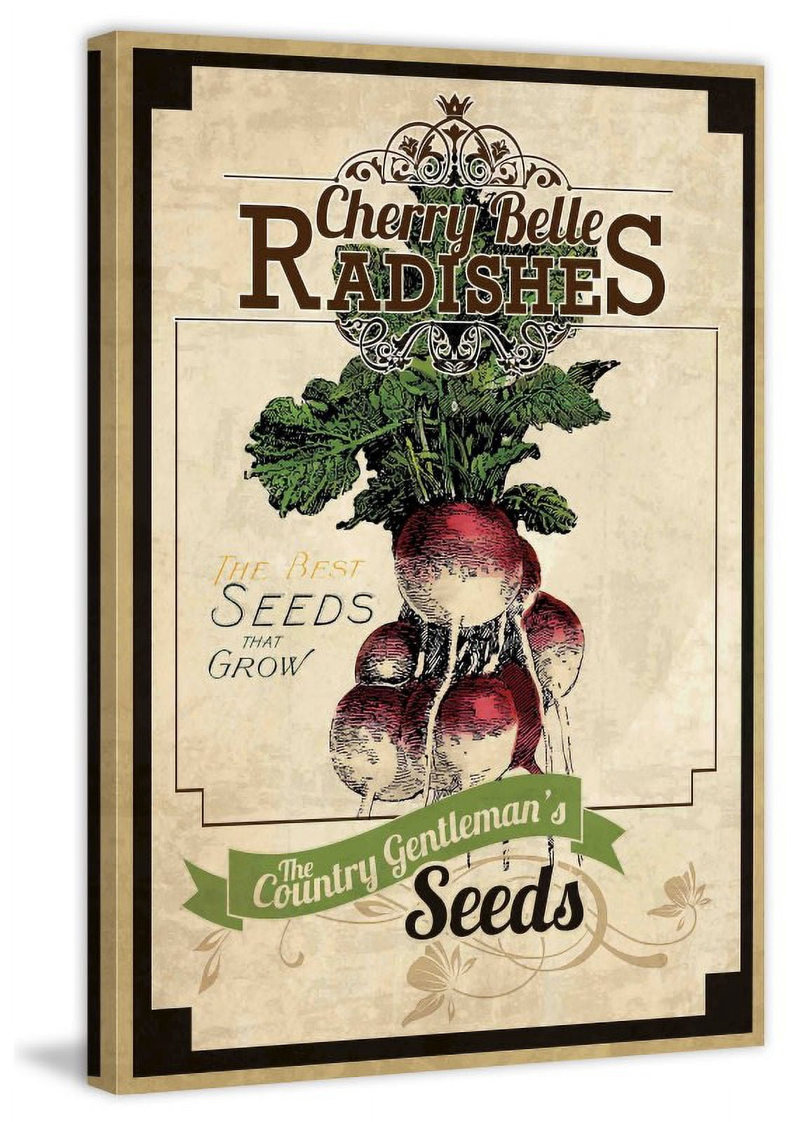 Marmont Hill "Seed Packet Radishes" Painting Print on Canvas