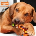 thumbnail image 3 of Nylabone Dura Toy Happy Moppy Fabric Dog Toy, Medium, 3 of 5
