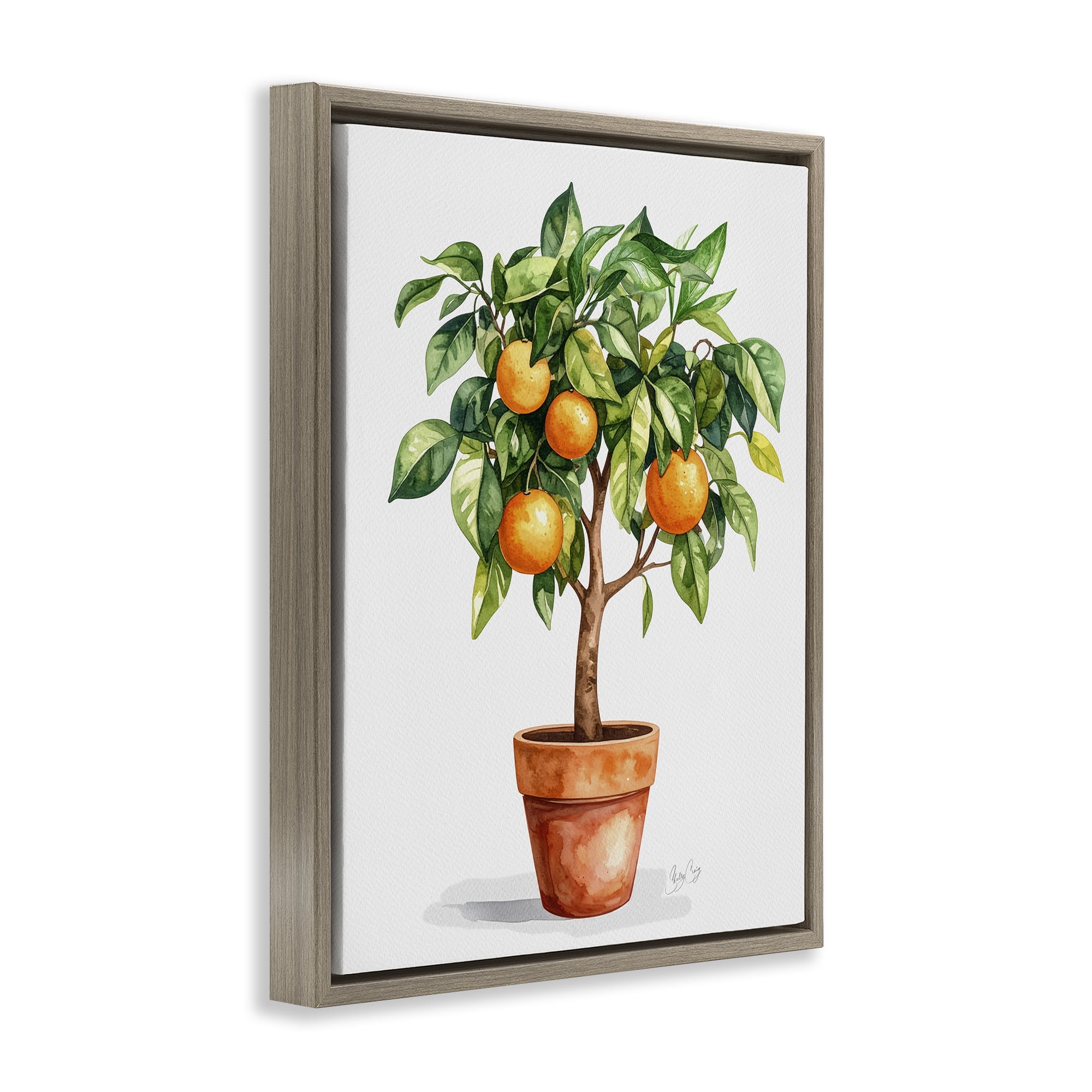 Stupell Industries Potted Orange Tree Brown Framed Floater Canvas Wall Art, design by Shelly Craig
