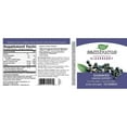 Nature's Way Sambucus Elderberry Herbal Gummies, Gluten Free (120 Count)