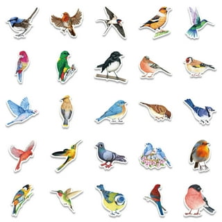 Colorful Bird Stickers: Vibrant and Eye-Catching Decorations for