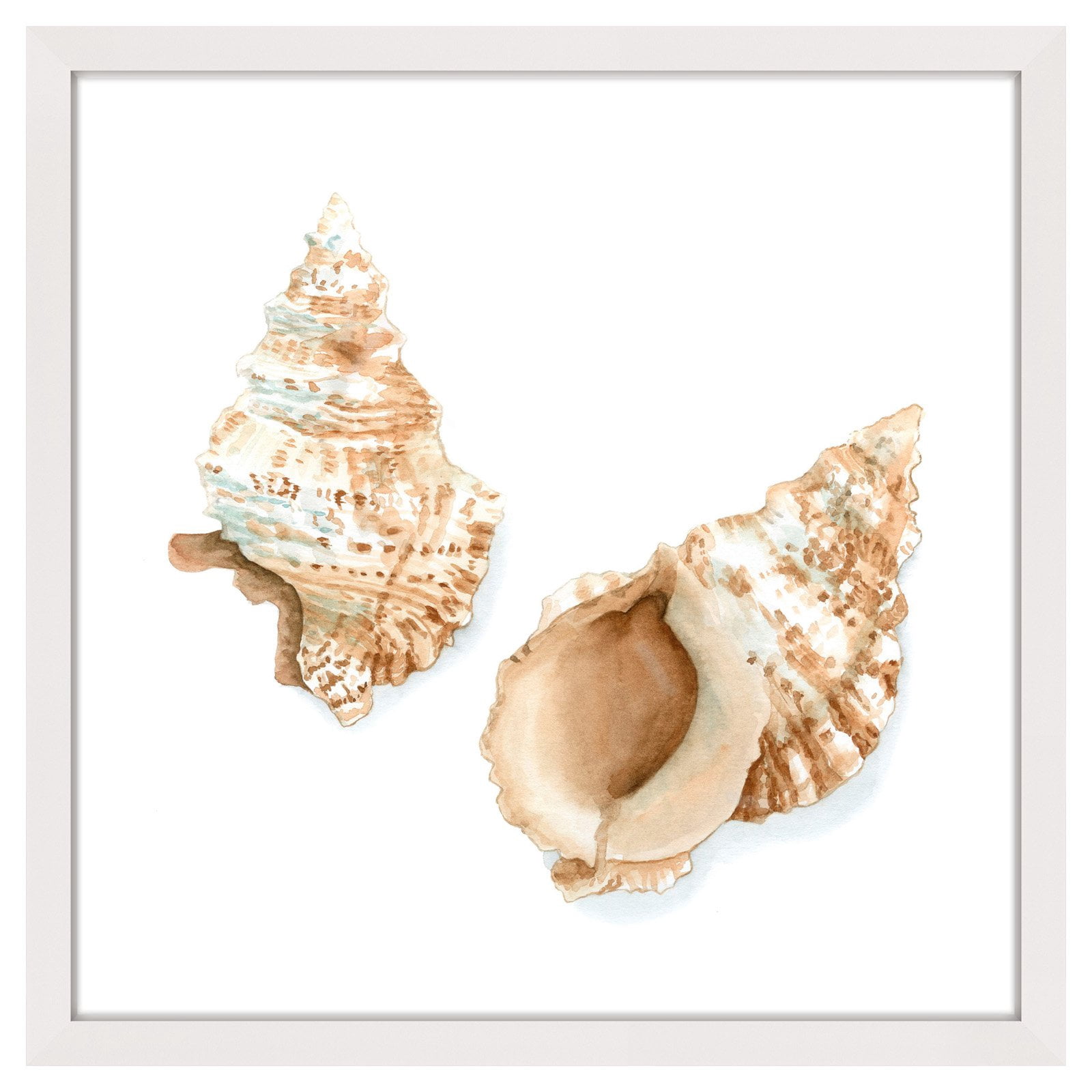 Marmont Hill "Watercolor Shells VII" Framed Painting Print