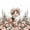 Pink White, variant on Manfei Cute Cat Twin Fitted Sheet, Cartoon Kitten Animal Bedding, Pink White, 2-Piece, 1 Fitted Sheet and 1 Pillowcase