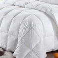 thumbnail image 2 of Luxury 600 Fill Power Lightweight Goose Down Comforter, 2 of 3
