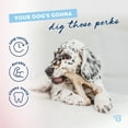 thumbnail image 4 of Benebone Puppy Wishbone Dog Chew Toy, Real Bacon Flavor, Small, 4 of 9