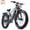GRAY-1500W, variant on Electric Bike for Adults 26'', 1500W E-Mountain Bike 48V 20Ah UL2849 Removable Battery,Fat Tire Ebike up to 30MPH Off Road Beach Snow Electric Bicycles Full Suspension & Dual Hydraulic Disc Brakes
