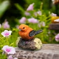 thumbnail image 4 of Safeglitz Realistic Resin Bird Figurine – Delicate Detail Statue for Car, Garden & Home DecorMiniature landscape simulation cute boutique bird ornaments orange bird white box, 4 of 7