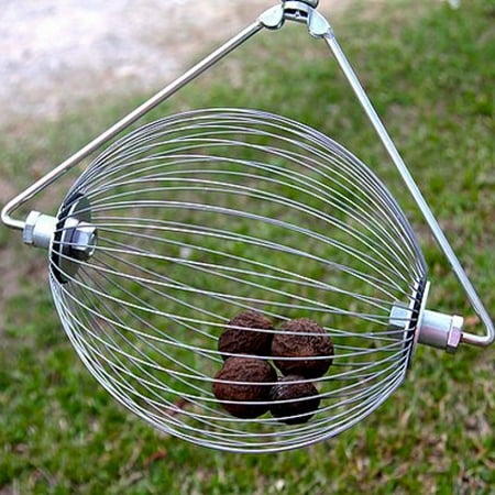 Nut Wizard - Large Nut Wizard by Holt's