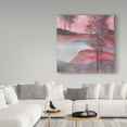 thumbnail image 2 of Trademark Fine Art 'Morning Passion' Canvas Art by Chris Paschke, 2 of 3