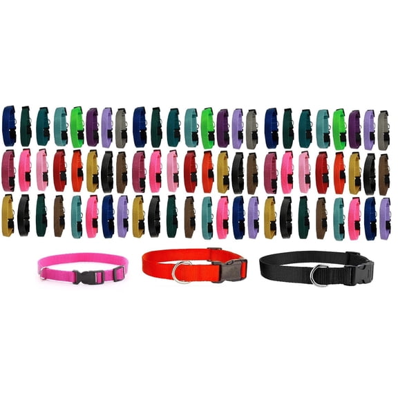 Dog Collar Shelter Rescue Vet Bulk Pack 75 Assorted Color Adjustable Choose Size (X-Small - 6 to 10 Inch)