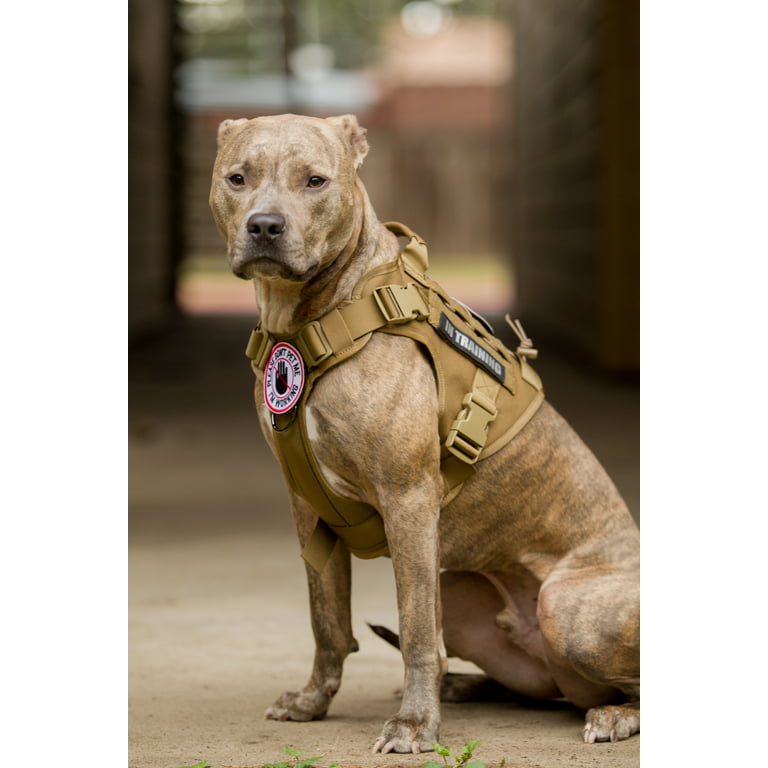 Tactical Dog Harness, Harness for Dogs, Tactical Harness for Dogs