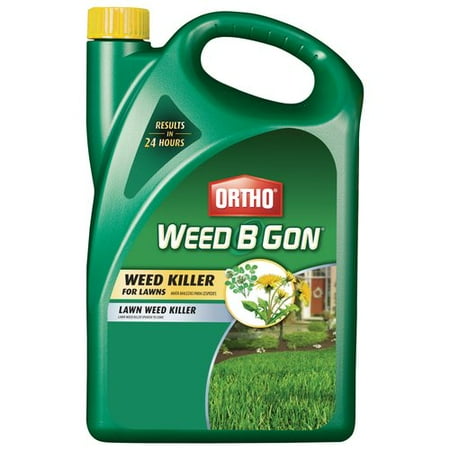 Ortho Weed-B-Gon Weed Killer For Lawns Concentrate 1 Gal