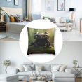 thumbnail image 4 of Funda de almohada de peluche Cómo entrenar a tu dragón, funda de almohada ultracómoda de varios tamaños, fundas protectoras antiincrustantes, 4 of 5
