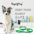 thumbnail image 5 of Regal Dog Products Large Green Reflective Dog Collar and Leash Set - Waterproof Biothane Dog Collar with Heavy Duty D Ring, Center Ring & 5'ft Leash for Training - Other Sizes for Small & Medium Dogs, 5 of 8